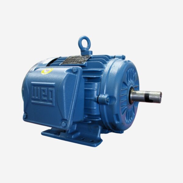 WEG 3 HP